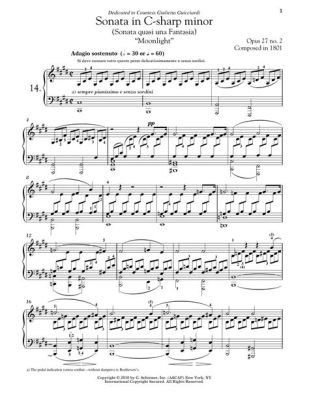 Sonata No. 14 in C-Sharp Minor Moonlight Sonata - เรื่องราวของความฝันและความมืดมิดในโน้ตดนตรี